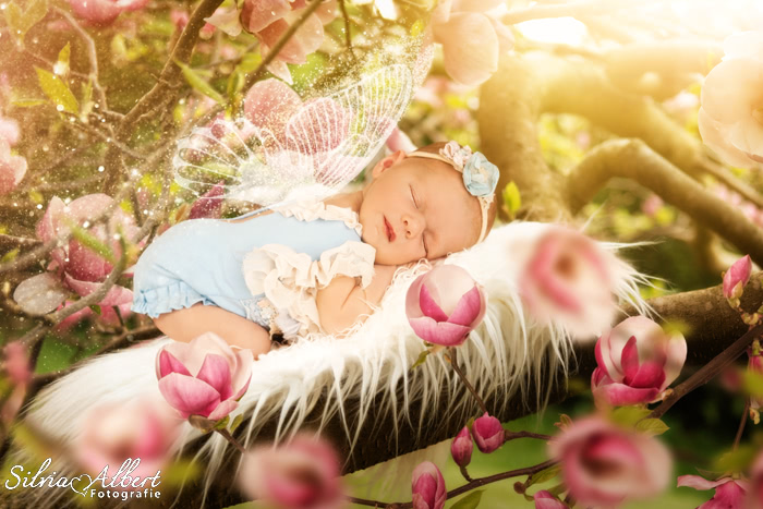 Fine-Art Fotoshooting