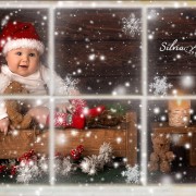 babyfotograf-berlin-babyfotografie-babyfotos_0050