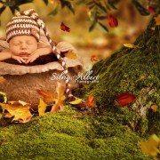 neugeborenenfotografie-baby-fotograf-newborn-babyfotografie-newbornfotografie-berlin_0076