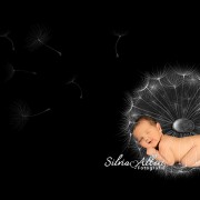 neugeborenenfotografie-baby-fotograf-newborn-babyfotografie-newbornfotografie-berlin_0082