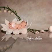 neugeborenenfotografie-baby-fotograf-newborn-babyfotografie-newbornfotografie-berlin_132
