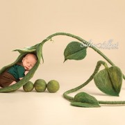 neugeborenenfotografie-baby-fotograf-newborn-babyfotografie-newbornfotografie-berlin_145