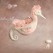neugeborenenfotografie-baby-fotograf-newborn-babyfotografie-newbornfotografie-berlin_149