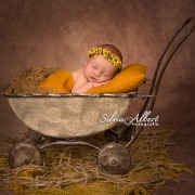 neugeborenenfotografie-baby-fotograf-newborn-babyfotografie-newbornfotografie-berlin_152