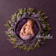 neugeborenenfotografie-baby-fotograf-newborn-babyfotografie-newbornfotografie-berlin_155