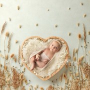 neugeborenenfotografie-baby-fotograf-newborn-babyfotografie-newbornfotografie-berlin_231