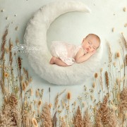 neugeborenenfotografie-baby-fotograf-newborn-babyfotografie-newbornfotografie-berlin_232